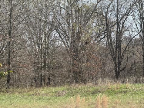 6080 Durhamville Road Ripley TN 38063