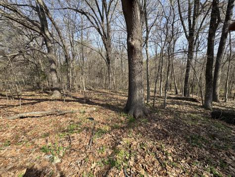 6080 Durhamville Road Ripley TN 38063