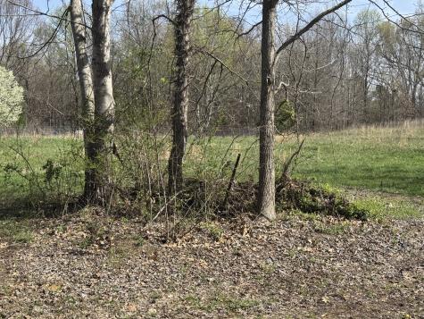 6080 Durhamville Road Ripley TN 38063