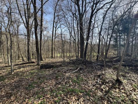 6080 Durhamville Road Ripley TN 38063