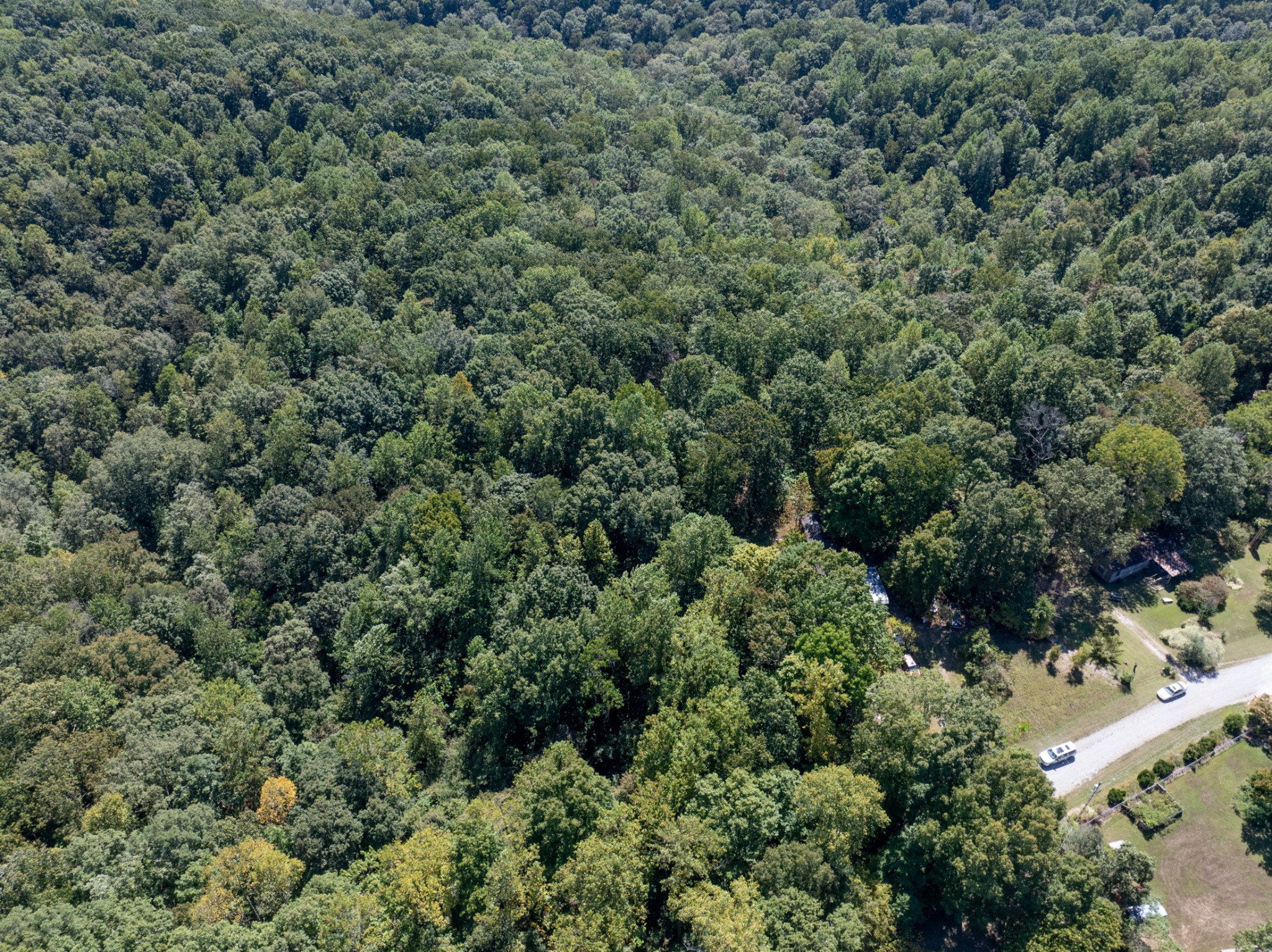 1028 Calahan Drive White Bluff TN 37187
