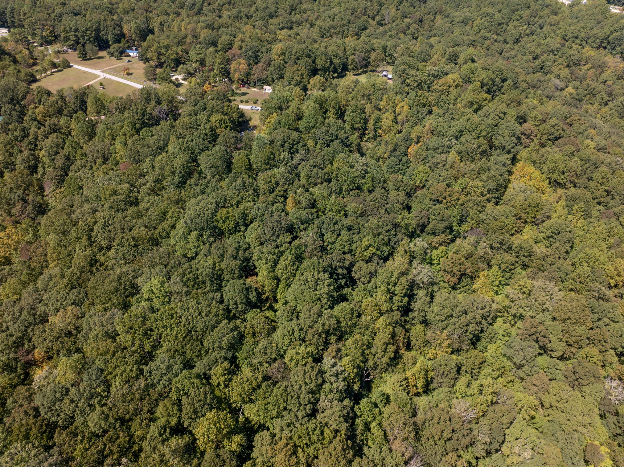 1028 Calahan Drive White Bluff TN 37187