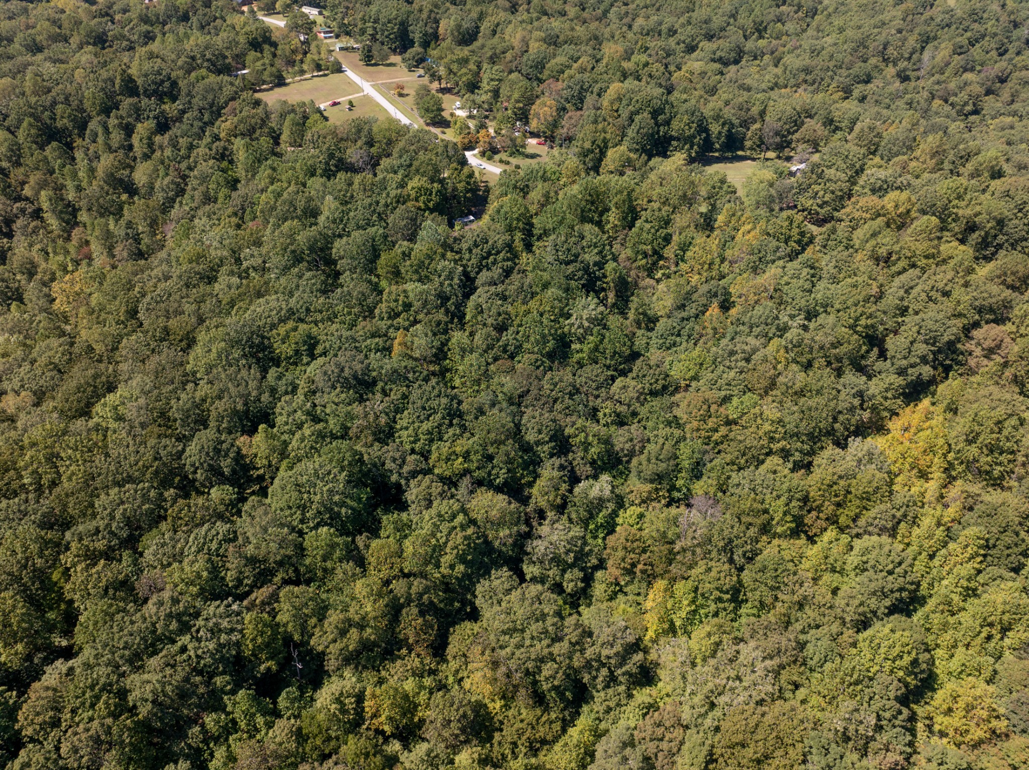 1028 Calahan Drive White Bluff TN 37187