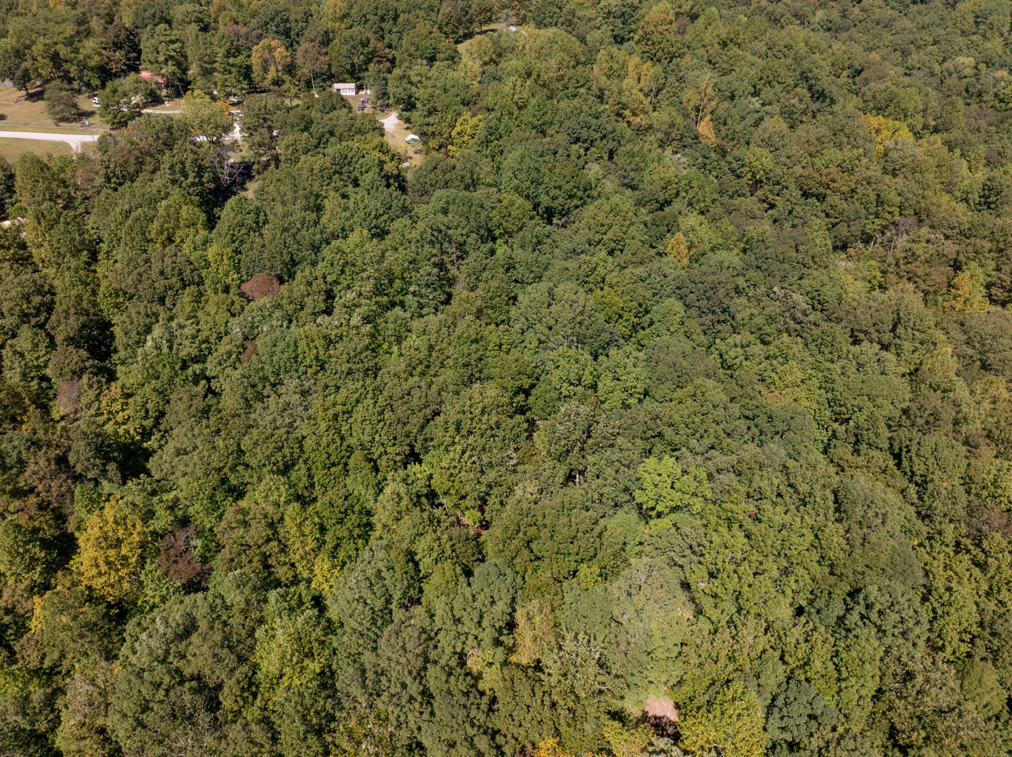 1028 Calahan Drive White Bluff TN 37187