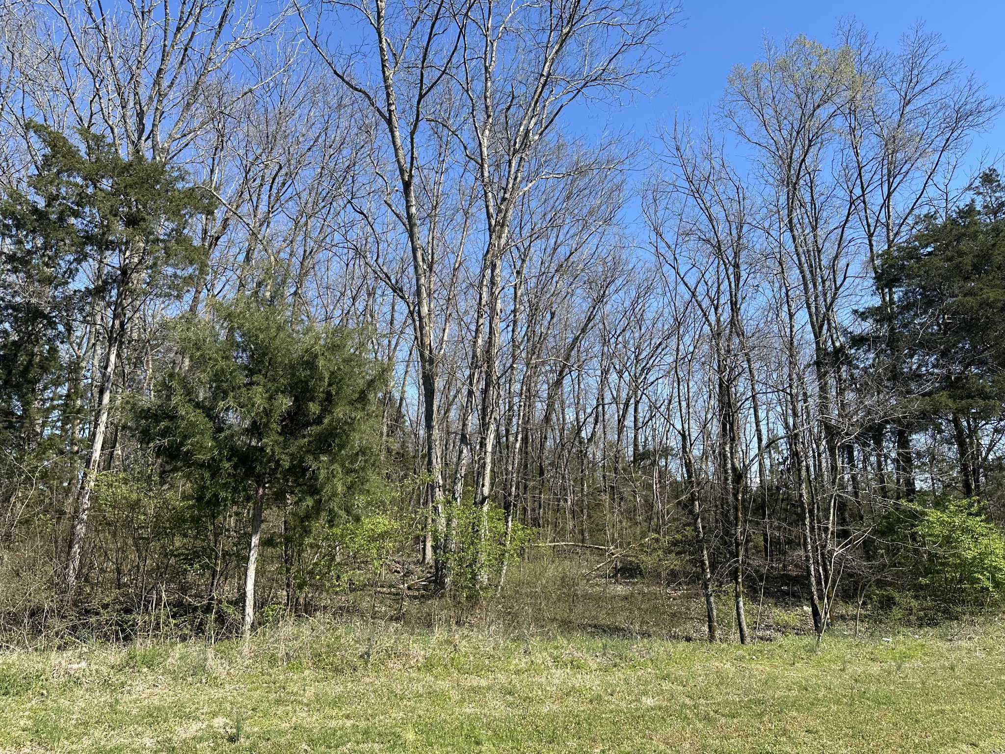 0 Wildcat Way Lebanon TN 37090