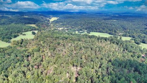 1 Pinewood Road Nunnelly TN 37137
