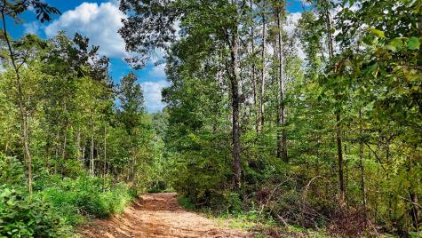 1 Pinewood Road Nunnelly TN 37137
