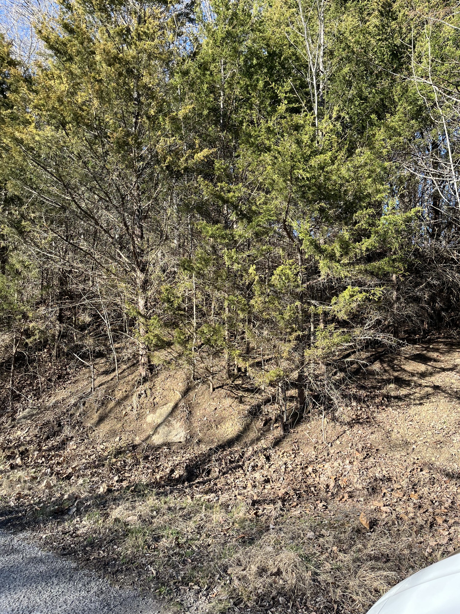 0 Davis Hollow Dowelltown TN 37059