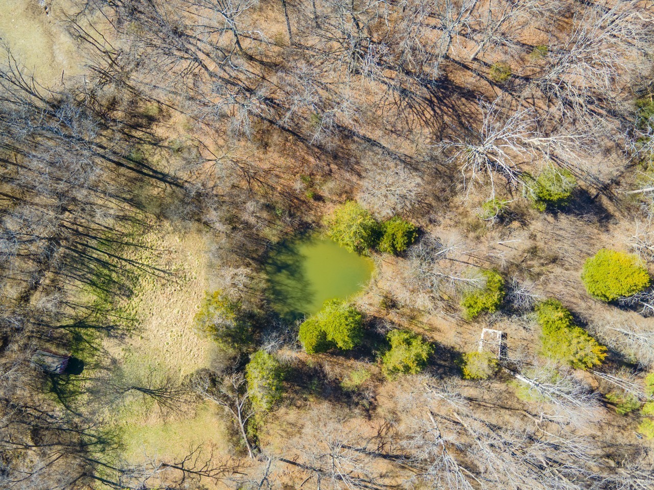 5407 Cane Ridge Road Antioch TN 37013