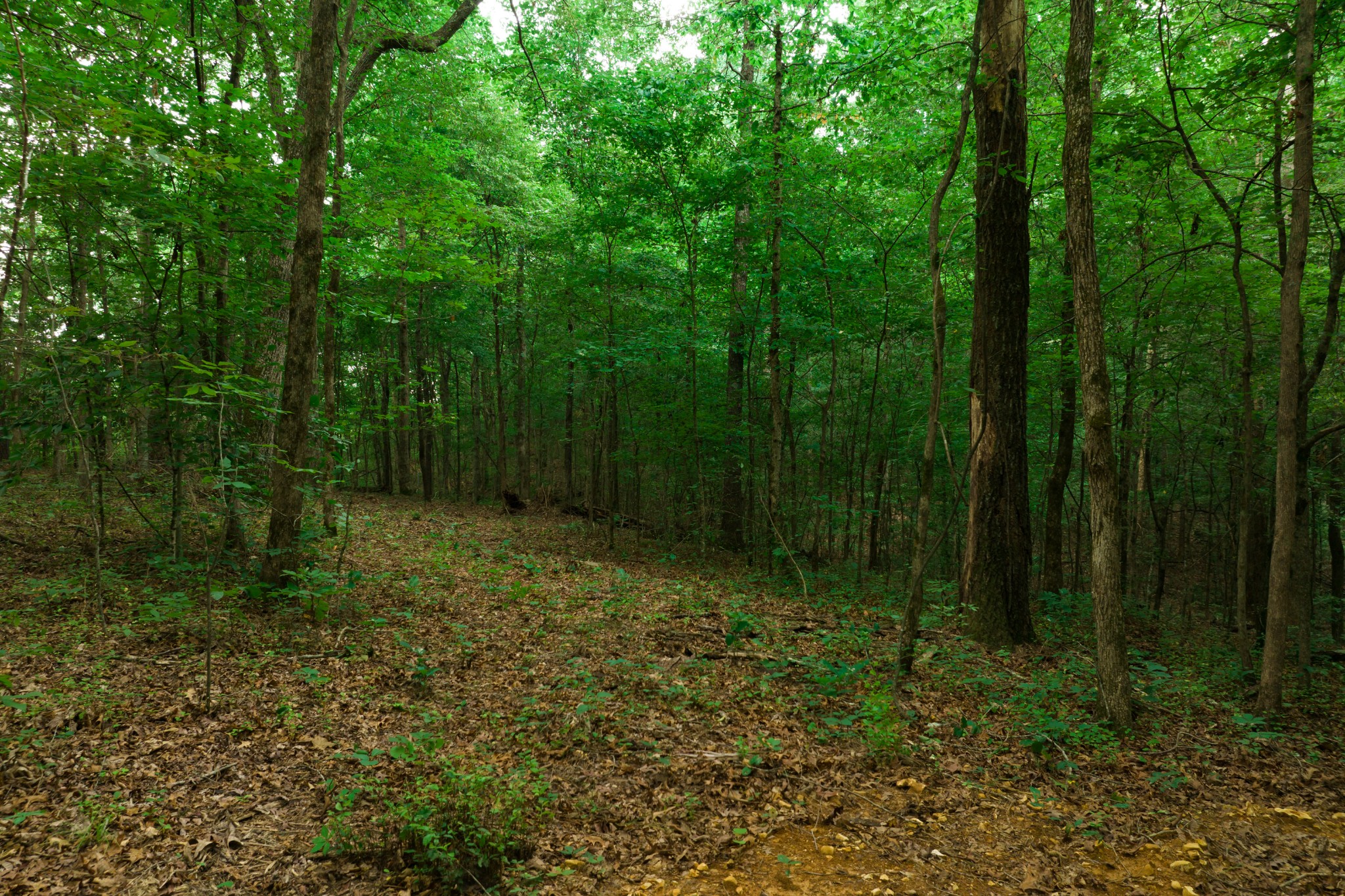 0 Highway 100 And Int 840 Fairview TN 37062