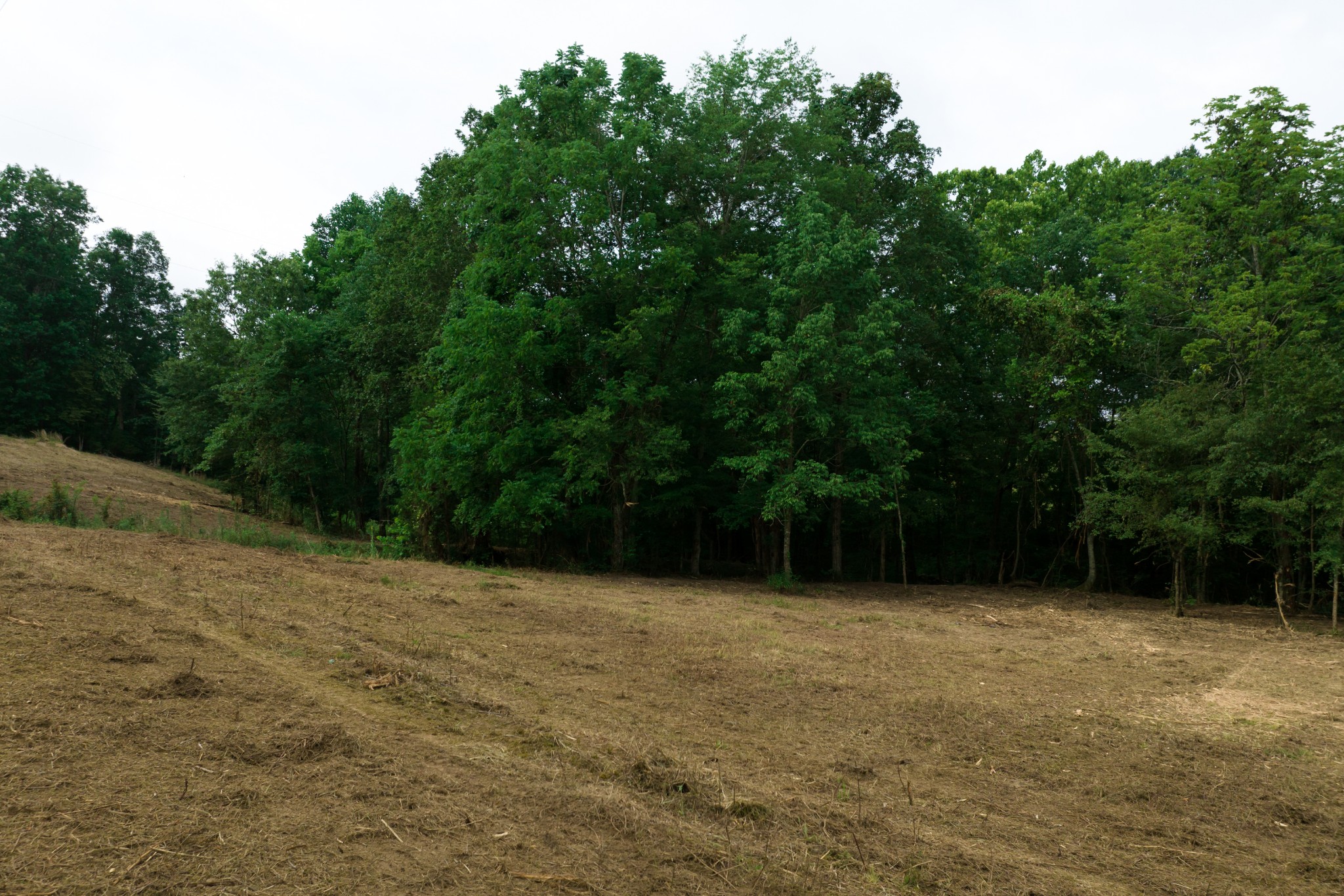 0 Highway 100 And Int 840 Fairview TN 37062