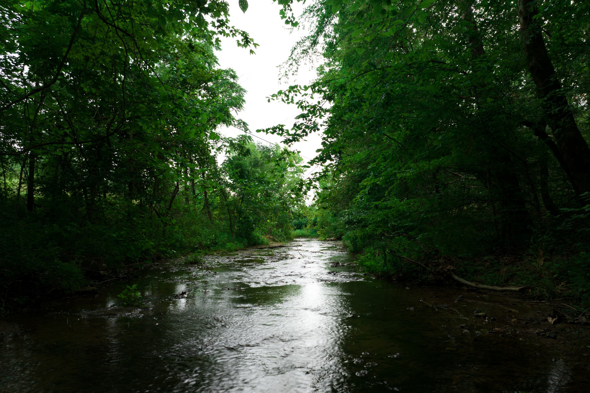 0 Highway 100 And Int 840 Fairview TN 37062
