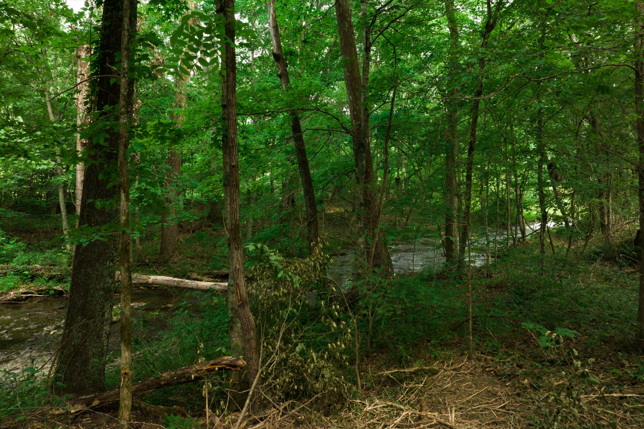 0 Highway 100 And Int 840 Fairview TN 37062