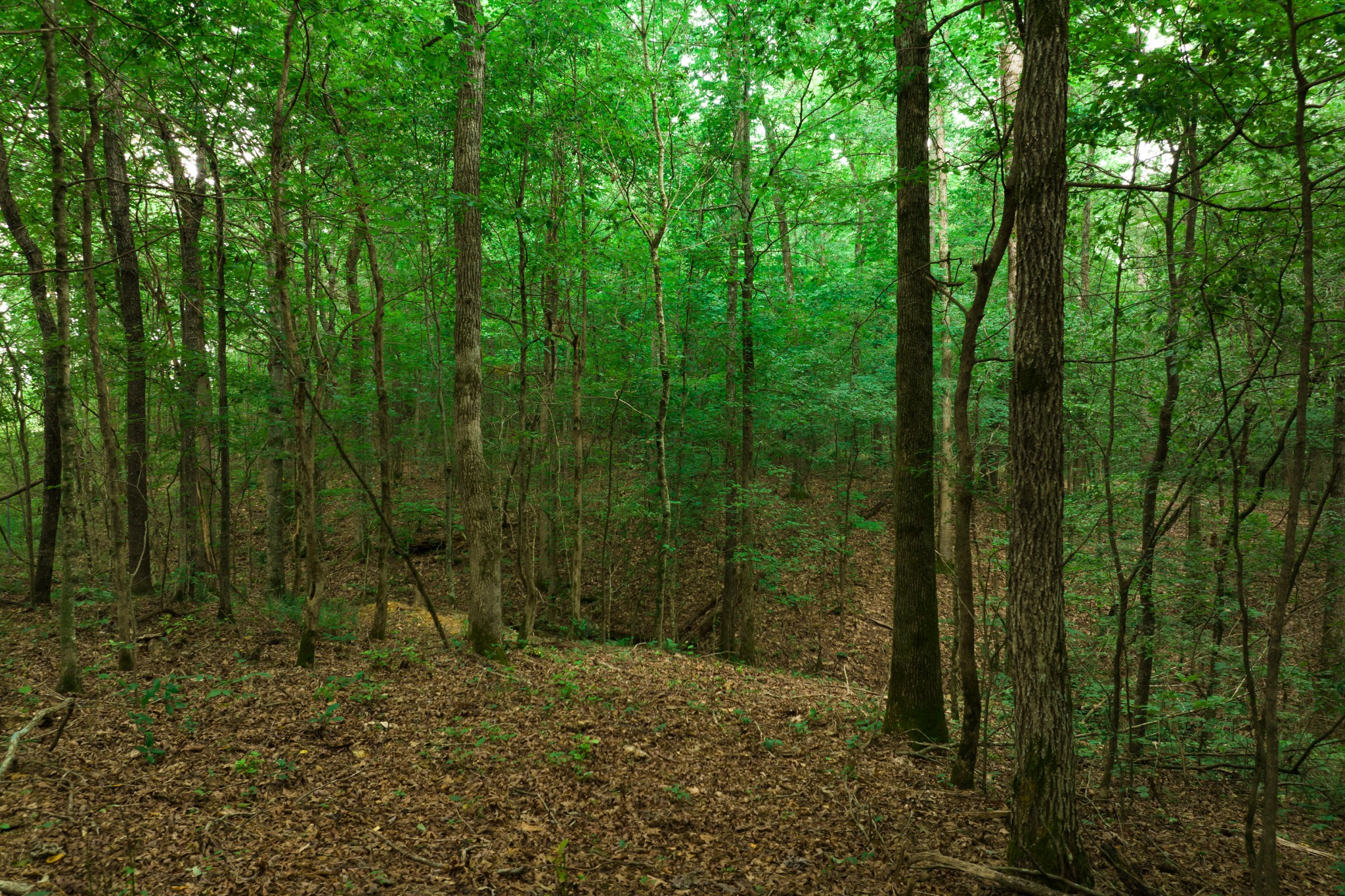 0 Highway 100 And Int 840 Fairview TN 37062