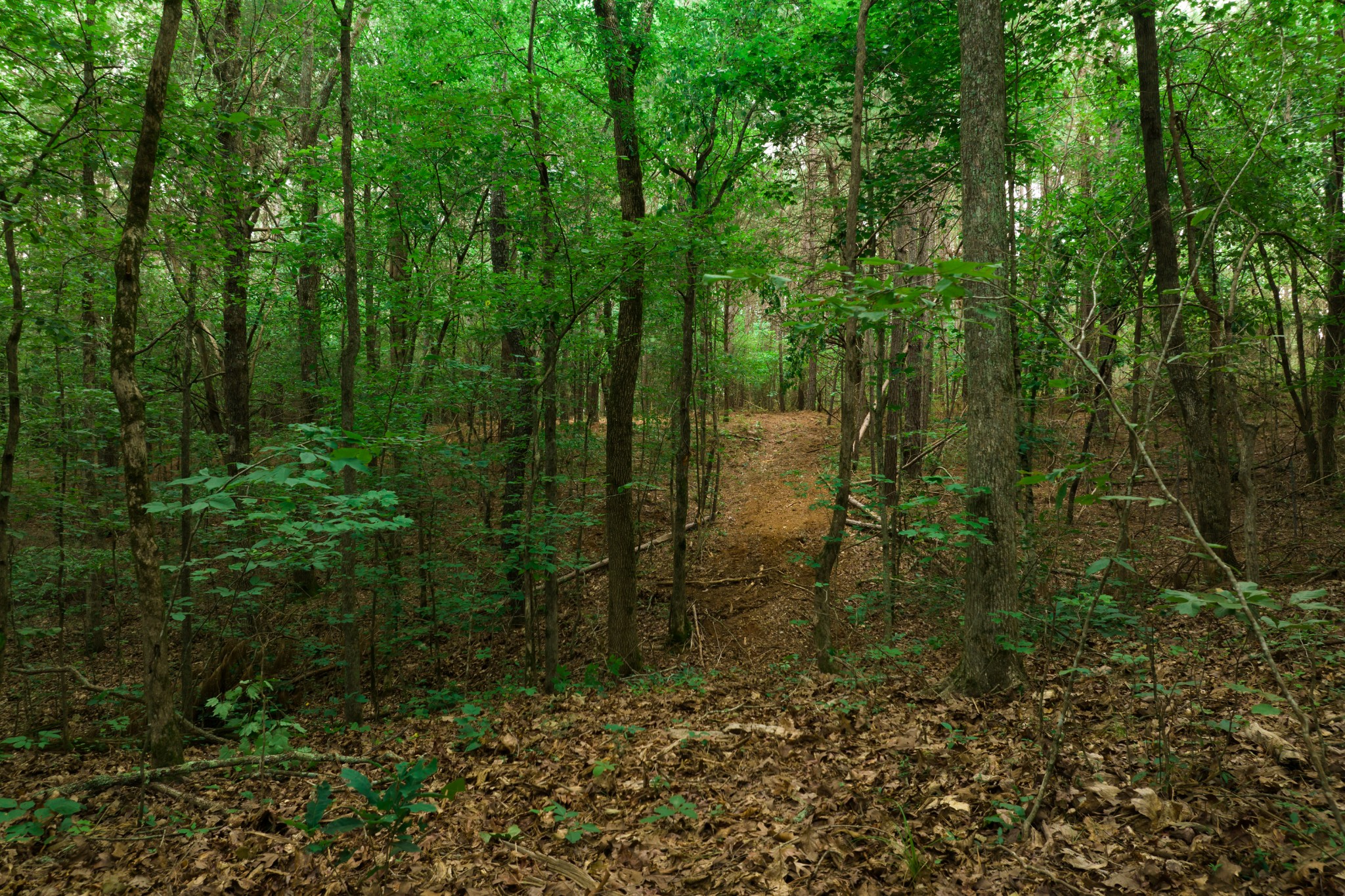 0 Highway 100 And Int 840 Fairview TN 37062