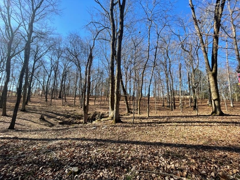 1875 Bakers Grove Road Hermitage TN 37076