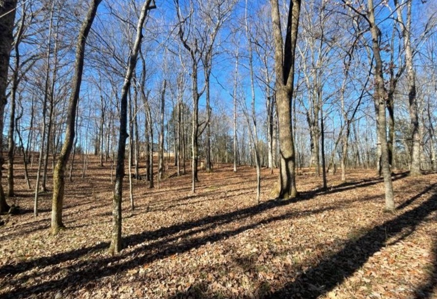 1875 Bakers Grove Road Hermitage TN 37076