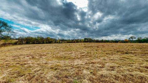 2728 Hartsville Pike Castalian Springs TN 37031