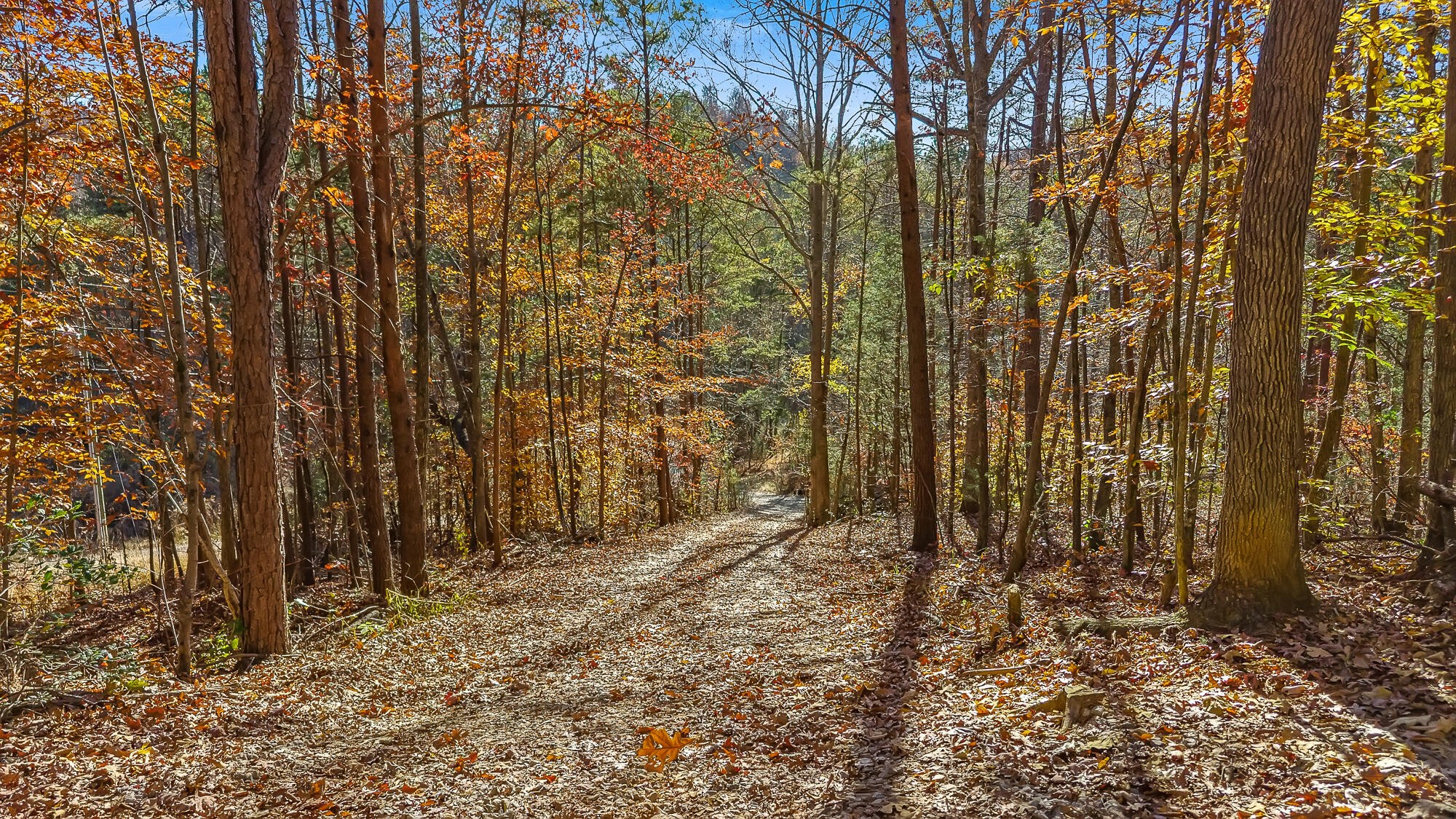 367 Cagle Road Tellico Plains TN 37385