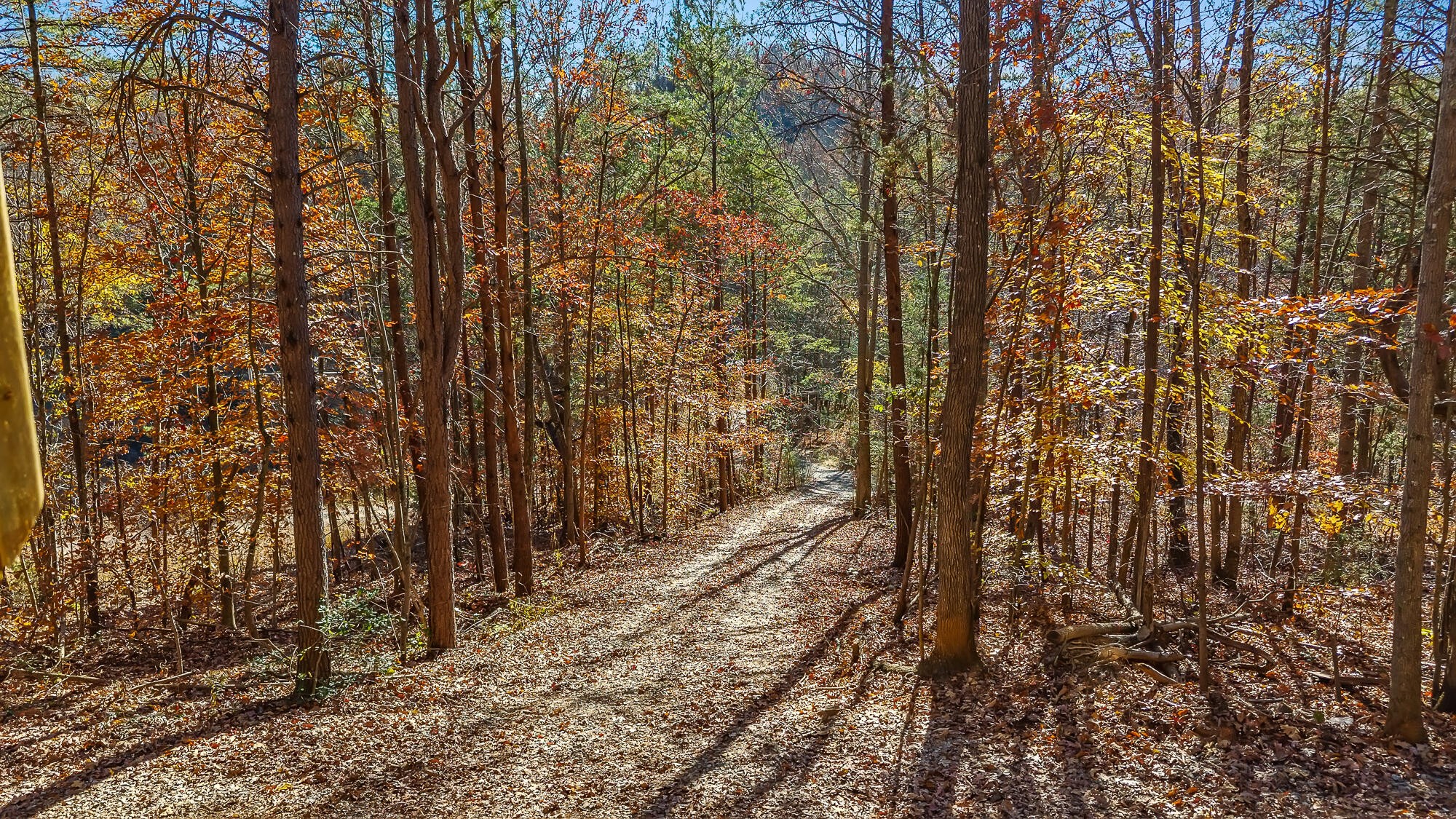 367 Cagle Road Tellico Plains TN 37385