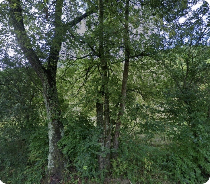5034 Seymour Hollow Road Whites Creek TN 37189