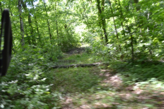 0 Beauchamp Road Burkesville KY 42717