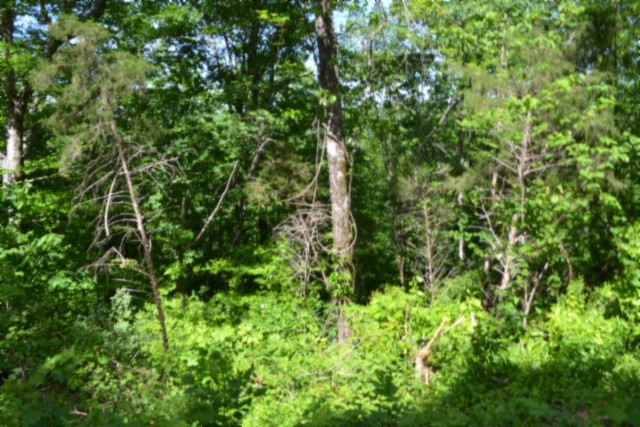 0 Beauchamp Road Burkesville KY 42717