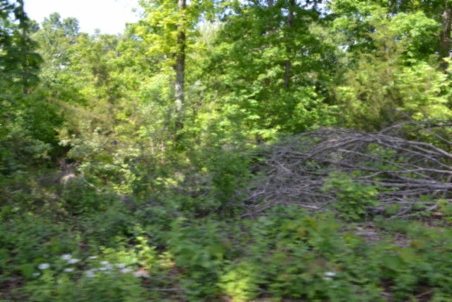 0 Beauchamp Road Burkesville KY 42717