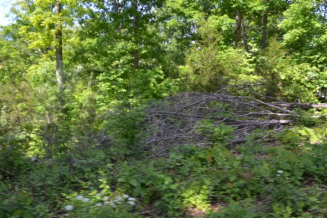 0 Beauchamp Road Burkesville KY 42717