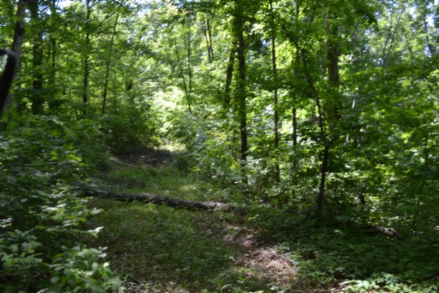 0 Beauchamp Road Burkesville KY 42717