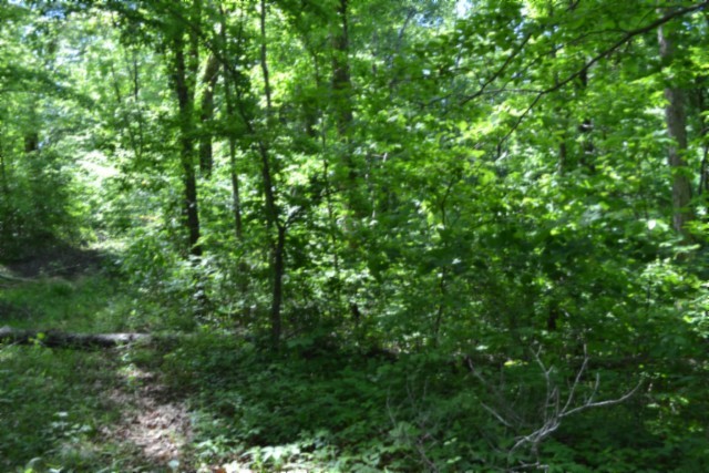 0 Beauchamp Road Burkesville KY 42717