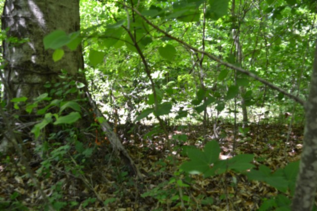 0 Beauchamp Road Burkesville KY 42717