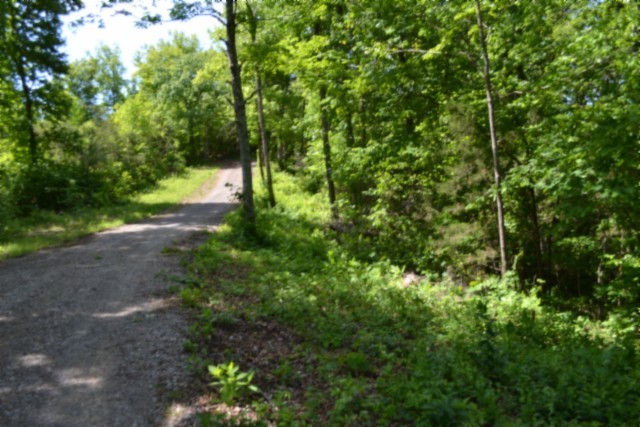 0 Beauchamp Road Burkesville KY 42717