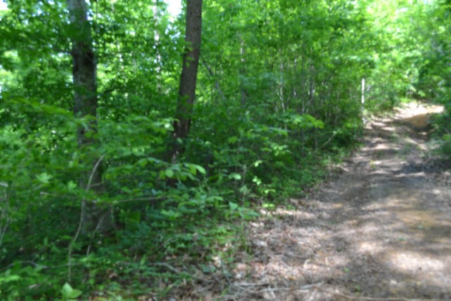 0 Beauchamp Road Burkesville KY 42717