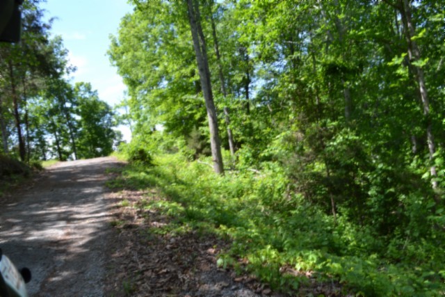 0 Beauchamp Road Burkesville KY 42717