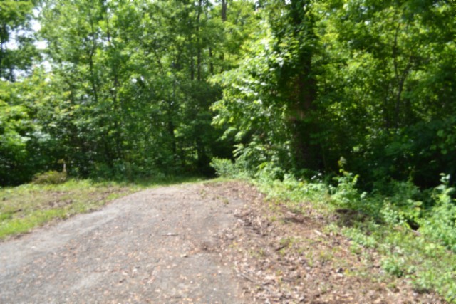 0 Beauchamp Road Burkesville KY 42717