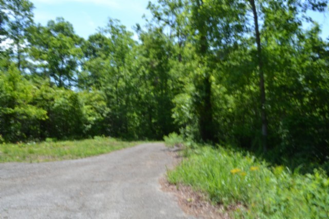 0 Beauchamp Road Burkesville KY 42717