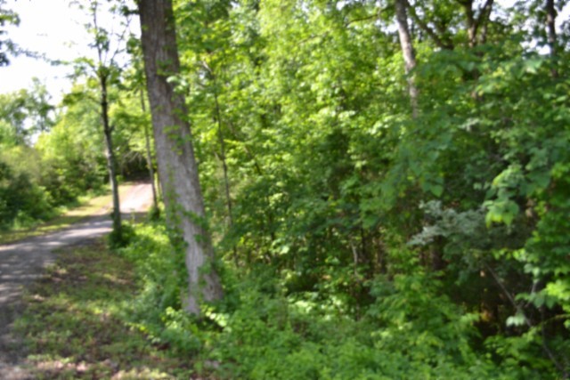 0 Beauchamp Road Burkesville KY 42717