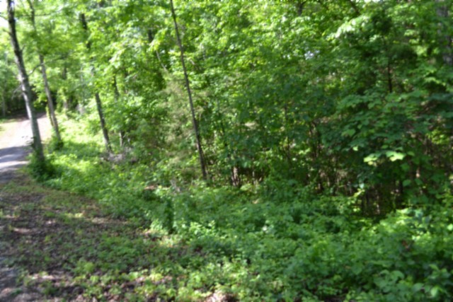 0 Beauchamp Road Burkesville KY 42717