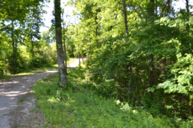 0 Beauchamp Road Burkesville KY 42717