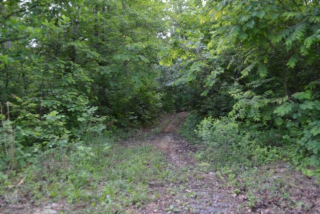 0 Beauchamp Road Burkesville KY 42717