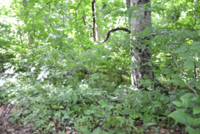 0 Beauchamp Road Burkesville KY 42717