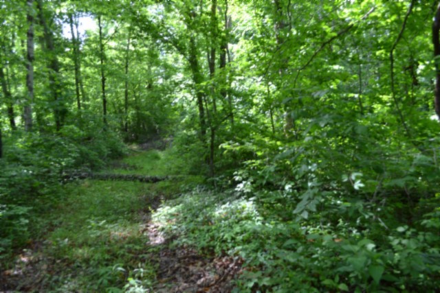 0 Beauchamp Road Burkesville KY 42717