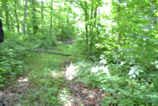 0 Beauchamp Road Burkesville KY 42717