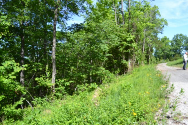 0 Beauchamp Road Burkesville KY 42717