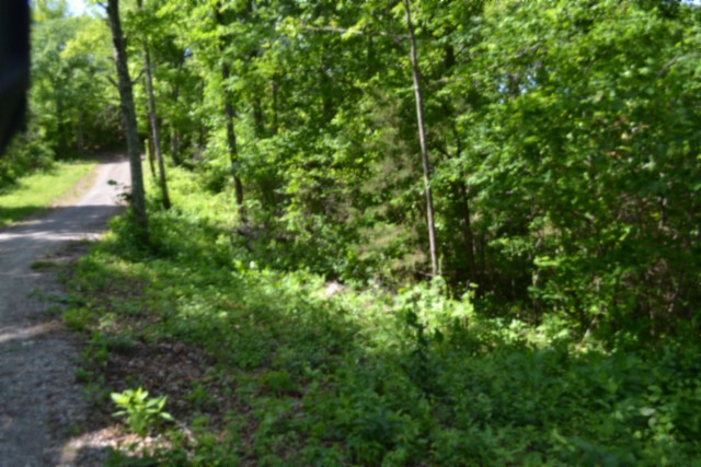 0 Beauchamp Road Burkesville KY 42717