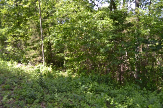 0 Beauchamp Road Burkesville KY 42717