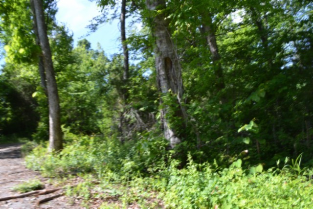 0 Beauchamp Road Burkesville KY 42717
