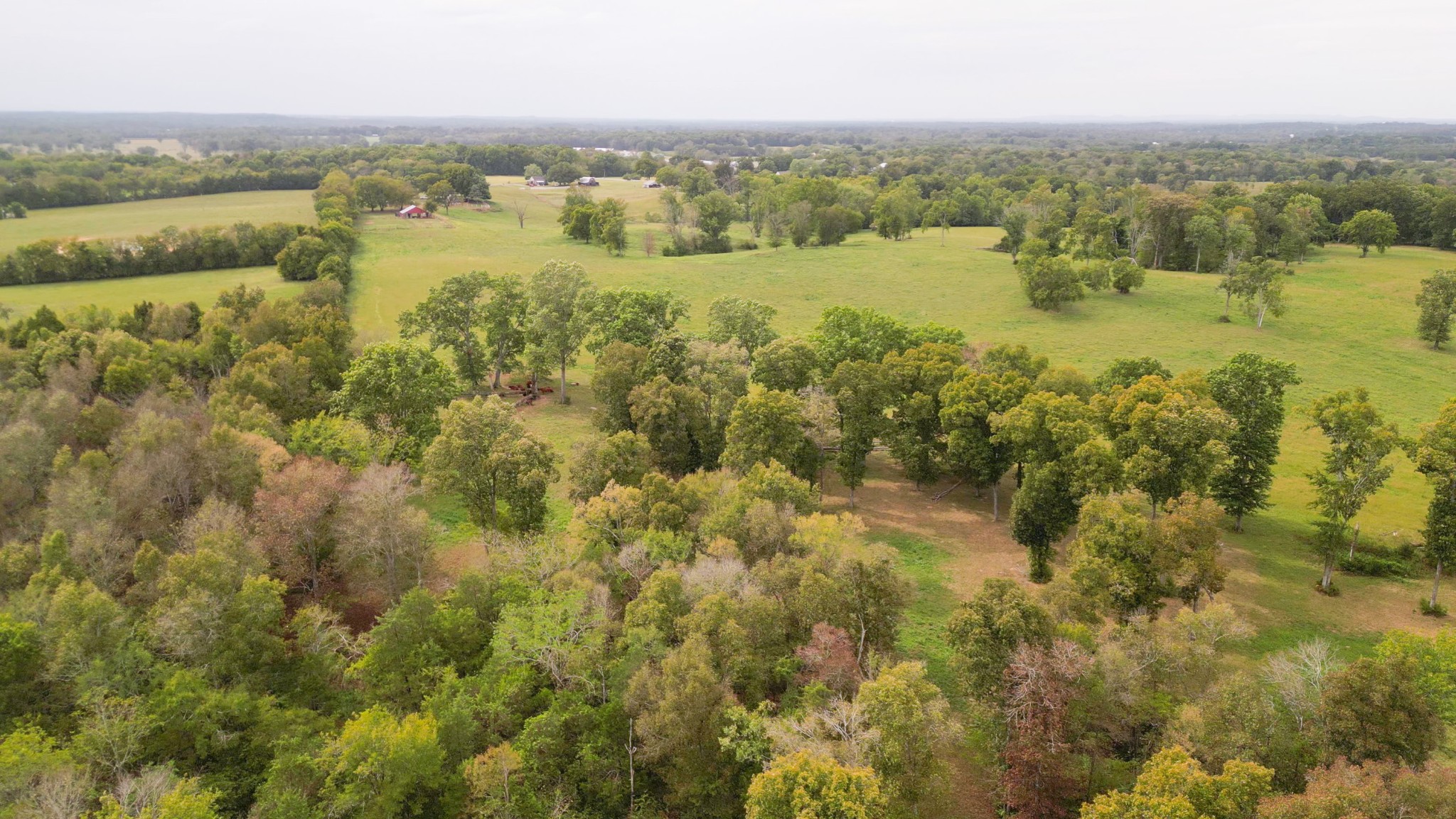 734 Old Nashville Dirt Road Shelbyville TN 37160