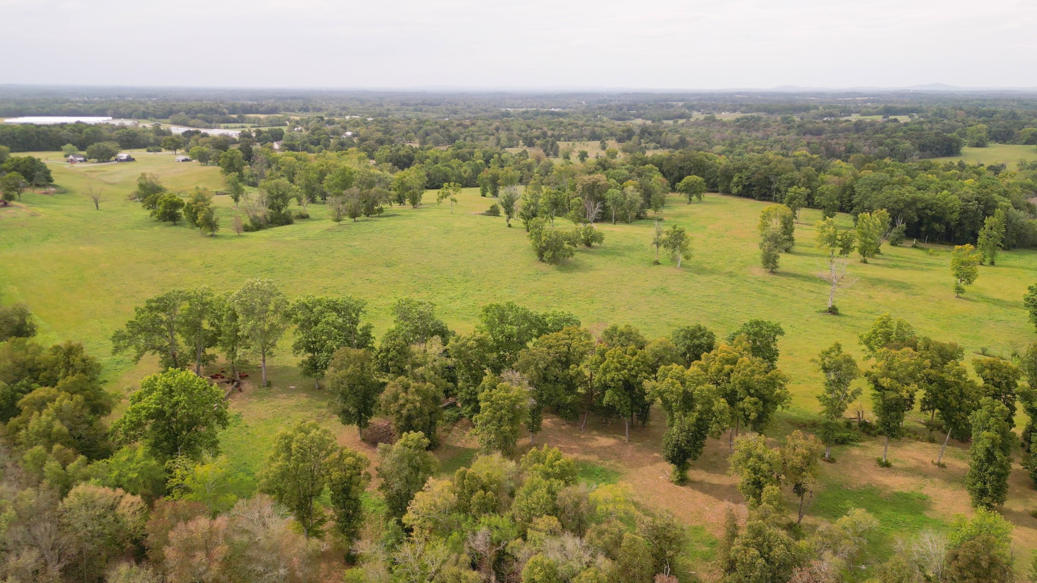 734 Old Nashville Dirt Road Shelbyville TN 37160